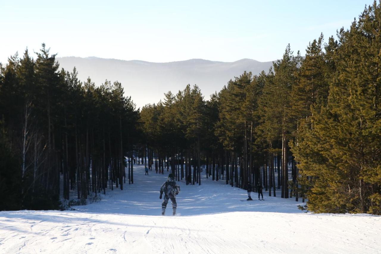 Orman Ski Shchuchinskiy Εξωτερικό φωτογραφία